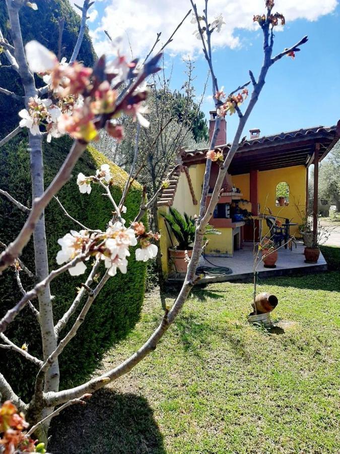 Vasiliki'S House Zacharo , 27054 , Ilias Lägenhet Exteriör bild